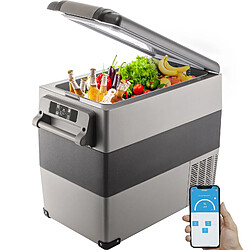 Vevor Mini réfrigérateur portable pour voiture 55L