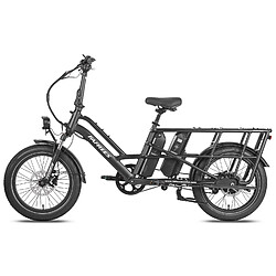 FAFREES FF20 CUV Vélo Électrique - 250W 48V24Ah - Noir