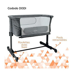 Nania lit bébé cododo Dodi - Gris pas cher