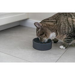 Avis Mangeoire pour chats Trixie Céramique Ø 12 cm
