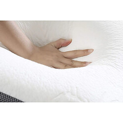 Oreiller en bambou à mémoire de forme Herzberg HG3D6040-WHT