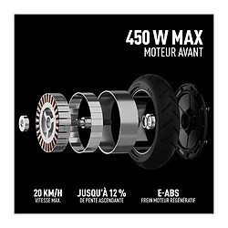 Trottinette électrique - SEGWAY - E2 E II - 450 W - 8,1 pas cher