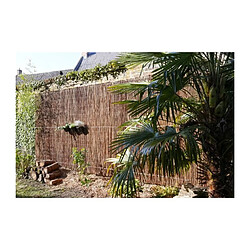 Canisse fagot d'osier fin - NATURE - 1 x 3 m - Occultant 4/5