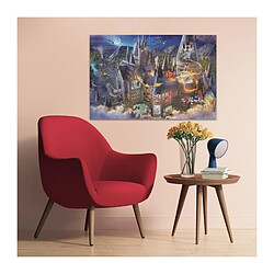Avis Puzzle 3000 pieces Vue sur le château de Poudlard / Harry Potter, des 14 ans, 17561, Ravensburger