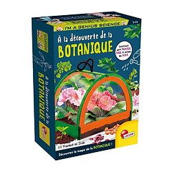 Lisciani giochi kit botanique enfant - Bois