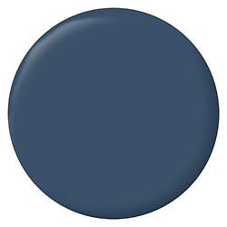 Peinture intérieure - Ripolin - Bleu Bering - 2,5 L - Velours - Haute opacité