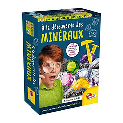 Lisciani Giochi Découverte des minéraux - Kit Scientifique - I'M A GENIUS POCKET - Bloc a creuser