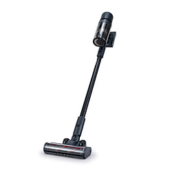 Aspirateur balai Schneider