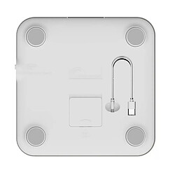 Acheter Impédancemètre 180kg/50g gris - 8837 - LITTLE BALANCE