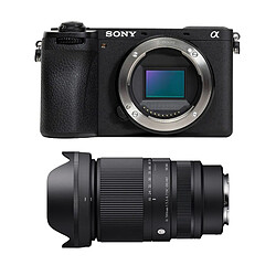 SONY ALPHA 6700 + SIGMA 16-300mm f/3.5-6.7 DC OS Contemporary