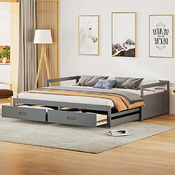 Acheter DZMDIP Lit gigogne avec tiroirs - 2 places - 2 x 90 x 200 cm - Bois - Panneaux de particules - Gris