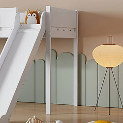 Acheter DZMDIP Lit mezzanine 90 x 200 cm avec échelle droite à trois marches, lit enfant avec toboggan, avec étagère amovible, pin + MDF