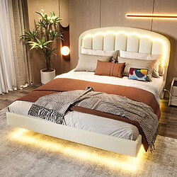 DZMDIP Lit Double Capitonné 160x200 - 2 Personnes - Tête de Lit Pétale, Éclairage LED Réglable & Design Moderne, Cuir PU Blanc