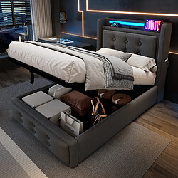 OKWISH Lit coffre 90x200 cm Lit simple LED - Gris