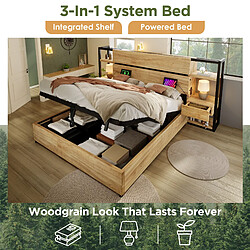 OKWISH Lit coffre 180x200 cm Lit adult coffre - Couleur Chêne