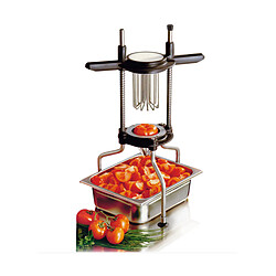 Diviseur inox 12 quartiers - DIV12 - BRON COUCKE