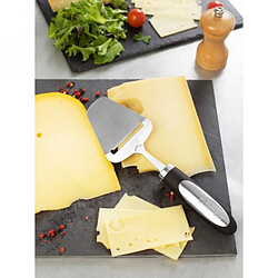 Coupe fromage inox/silicone - CTG-07-CSE - Les Outils De Monsieur Paul - CUISINART