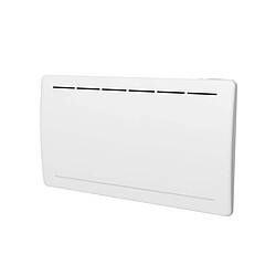 Radiateur à inertie