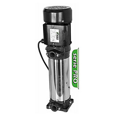 Pompe d'alimentation Ribimex