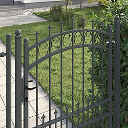 Acheter vidaXL Portail de clôture avec pointes EMMEN 170 x 100 cm
