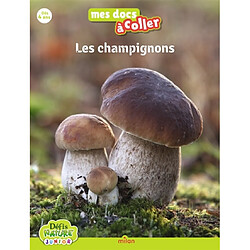 Bioviva : Les champignons