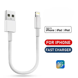 Mercatus XXI Lot de 2 Câbles recharge rapide USB-A Fast / Lightning 1m pour APPLE iPhone et iPad
