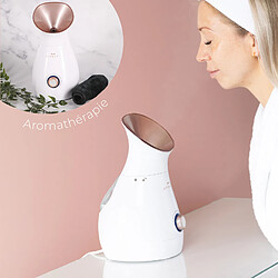 Acheter STYLIDEAS Sauna facial ionique 4 en 1
