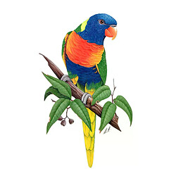 Autocollant mural perroquet peint à la main Three Ratels QCF46, décoration pour la maison, autocollant pour toilettes~0691