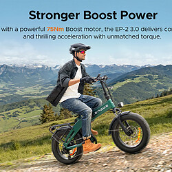 Acheter ENGWE EP-2-BOOST3.0