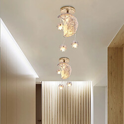 Acheter STOEX (2X) Lampe de Plafond Moderne 15CM Plafonnier Lune Plafonnier Rétro Vintage
