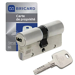 Cylindre serrure double entrée 30 x 45 mm acier renforcé 4 clés Serial S BRICARD A2P 1