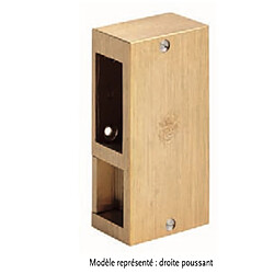 Beugnot gâche électrique en applique - laiton