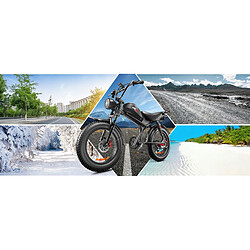 Vélo électrique EMOKO C93 - Moteur 1000W - Batterie amovible - 48V 20AH - Autonomie 80KM - SHIMANO 7 vitesses 20' VTT pas cher