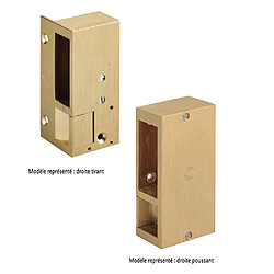 Beugnot gâche électrique en applique - Laiton brossé