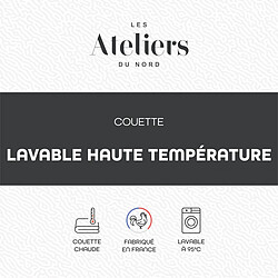 Acheter LES ATELIERS DU NORD Couette Lavage Haute Température