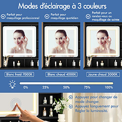 ALFORDSON Coiffeuse avec miroir, coiffeuse avec 2 tiroirs et porte-bijoux, miroir LED à intensité variable et 3 modes de couleur réglables