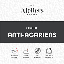 Acheter LES ATELIERS DU NORD Couette Anti-acariens