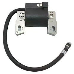 Avis Bobine d’allumage pour Briggs & Stratton 127887 128802 128807 128809 128812 128882 128887 128L02 128L05 128L07 128M02 128M05 128M07