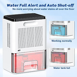 Acheter Deshumidificateur d air 2200 ML Anti Moisissure Portable avec Dégivrage Automatique, Minuterie pour Maison, Bain, Chambre, Armoire
