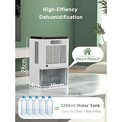 Deshumidificateur d air 2200 ML Anti Moisissure Portable avec Dégivrage Automatique, Minuterie pour Maison, Bain, Chambre, Armoire pas cher