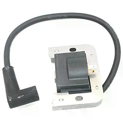 Bobine d’allumage pour Kohler SV470 SV480 SV530 SV540 SV541 SV590 SV591 SV600 SV601 SV610 SV620 Toro 74360 74363 2058403-S 2058404-S
