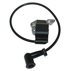 Module de bobine d’allumage pour Homelite Ryobi BP42 RBL42BP RY08420 RY08420B RY08420A RY42WB Powr XT 291424001 291424009,291424010