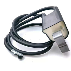 Avis Bobine d’allumage pour Briggs & Sratton 400707 394891 590781 394988 392329
