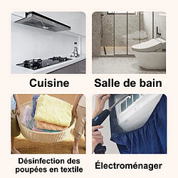 Avis Nettoyeur vapeur à main portable