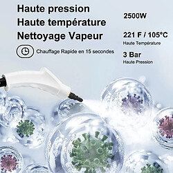 Avis Nettoyeur vapeur à main – 2500 W