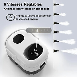 Nettoyeur vapeur à main – 2500 W