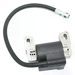 Acheter Bobine d’allumage pour Briggs & Stratton 127887 128802 128807 128809 128812 128882 128887 128L02 128L05 128L07 128M02 128M05 128M07