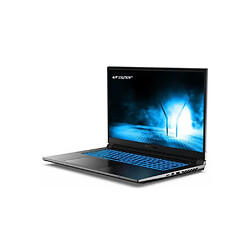 Ss Marque PC Portable - ERAZER - Scout E30i MD62704 FR - 17.3 - i7-12650H - 16Go DDR4-3200 - RTX 4050 - SSD 512Go - Windows 11