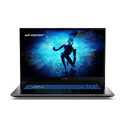 Ss Marque PC Portable - ERAZER - Defender P50i MD62643 - 17.3 - i7-12650H - 16Go - RTX 4060 - SSD 1To - Windows 11