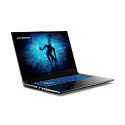 Ss Marque PC Portable - ERAZER - Defender P50i MD62643 - 17.3 - i7-12650H - 16Go - RTX 4060 - SSD 1To - Windows 11
